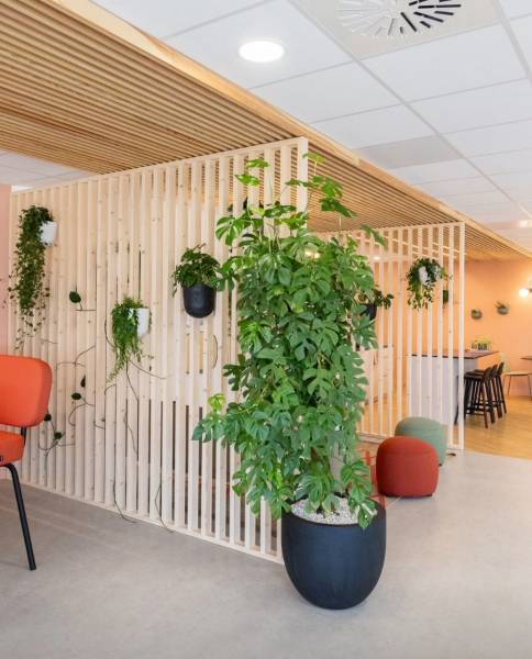 Création d'une bande de faux plafonds type claustra bois pour des bureaux à Montpellier - 34 Hérault